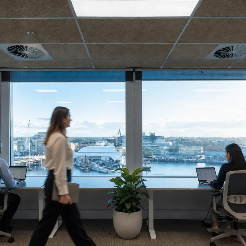 Professional services team collaborating in a private CorporateCubes.Co Team Room